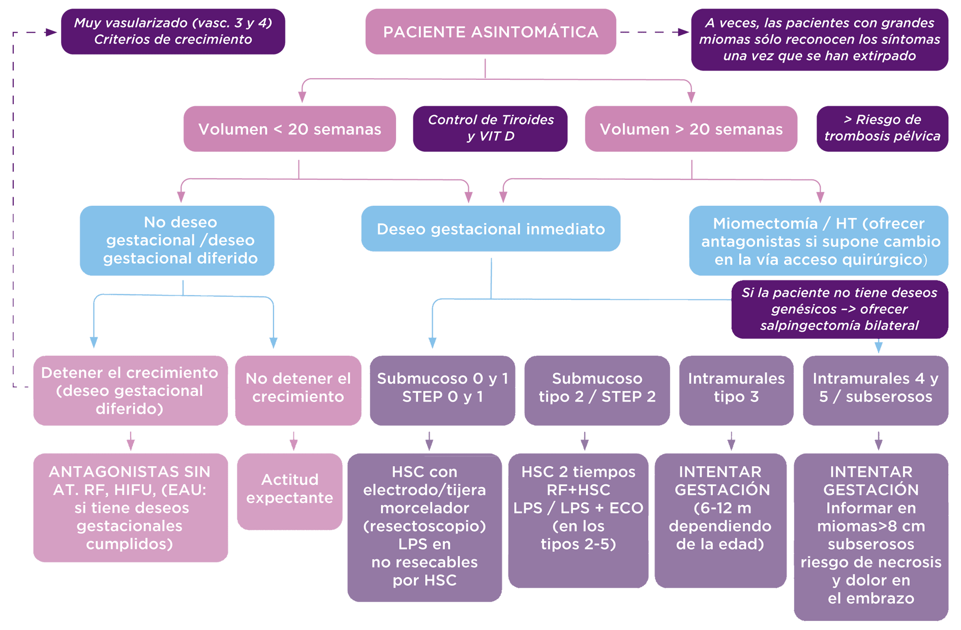 Protocolo Miomas 2023 - Paciente Asintomática